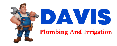 Trusted plumber in CAT SPRING